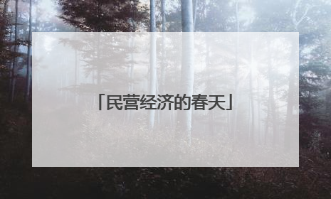 民营经济的春天